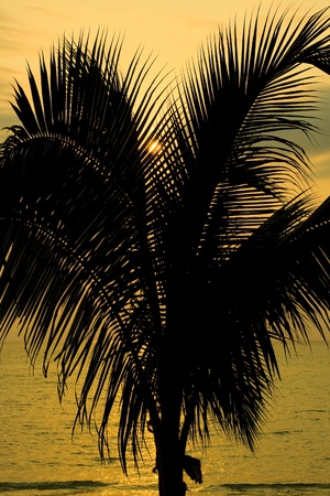 Sunset over the beach, Koh Kood , Thailand .の写真素材