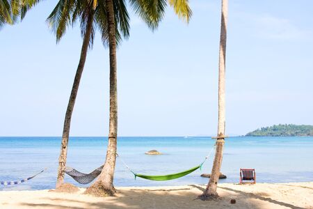Sea, beach, jungle and hammock - vacation backgroundの写真素材