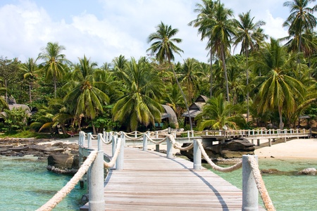 Sea and pier from palm treesの写真素材