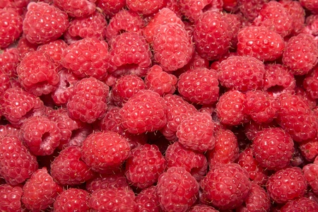 A lot of a tasty juicy raspberryの写真素材
