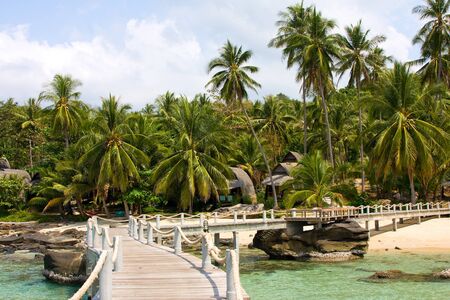 Sea and pier from palm treesの写真素材