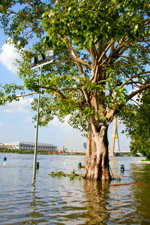 BANGKOK THAILAND - OCTOBER 25 : Flooding in Bangkok city on October 25, 2011 in Bangkok, Thailand. Water burst its banks on the Chao Phraya River to 2.5 m near the bridge Rama VIII.のeditorial素材