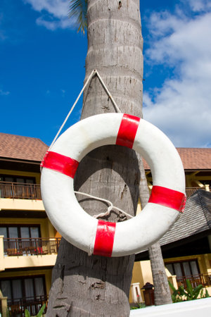 Lifebuoy hanging on a palm tree .のeditorial素材