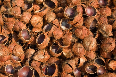 Pile of discarded coconut husks in Thailand