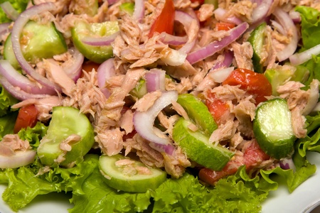 Vegetable salad with tuna fish closeupの写真素材