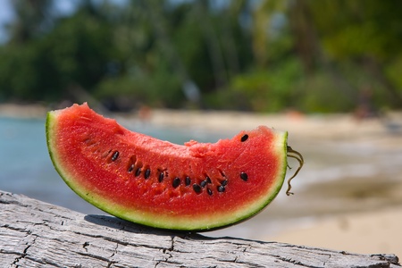 Juicy slice of watermelon against natural backgroundの写真素材