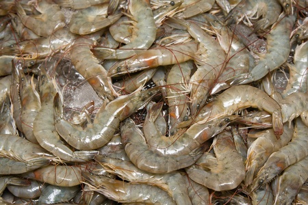 Shrimp on the market in Thailand .の写真素材