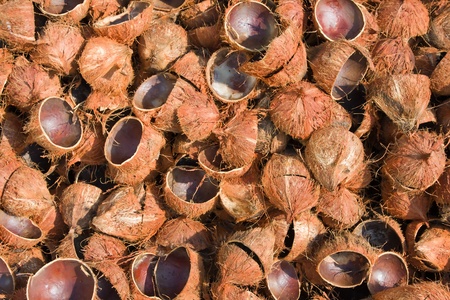 Pile of discarded coconut husks in Thailandの写真素材