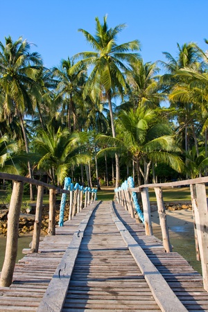 Wooden pierの写真素材