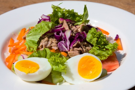 Vegetable salad with tuna fish closeup on the plateの写真素材