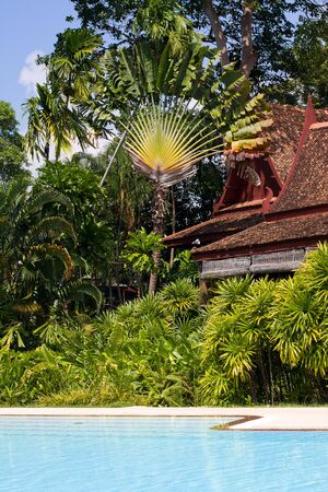Swimming pool at the garden, Thailandの写真素材