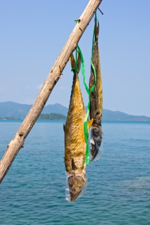 Dried fish near the sea in Thailandの写真素材