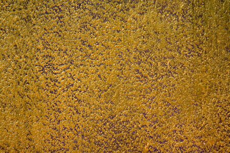 Background from high detailed fragment painted with gold paint stone wallの写真素材