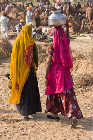 PUSHKAR, INDIA - NOVEMBER 19: Pushkar Camel Mela (Pushkar Camel Fair) on November 19, 2012 in Pushkar, Rajasthan, India. This fair is the largest camel trading fair in the world.のeditorial素材