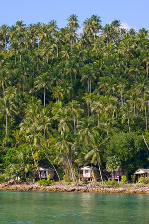 Tropical island Koh Phangan, Thailand. Top view.の写真素材