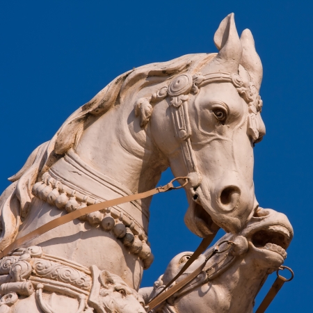 Horse head statue.  Rishikesh , Indiaの写真素材