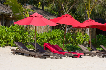 Beach umbrella and deck chairs on the beach. Island Koh Phangan,Thailandのeditorial素材