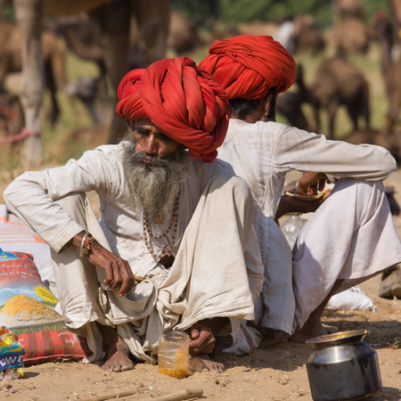 PUSHKAR, INDIA - NOVEMBER 18: Pushkar Camel Mela (Pushkar Camel Fair) on November 18, 2012 in Pushkar, Rajasthan, India. This fair is the largest camel trading fair in the world.のeditorial素材