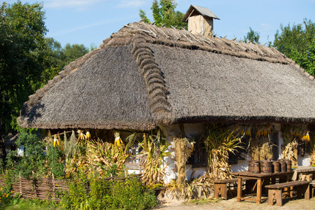 Wooden houses taken in park in summer in Pirogovo museum, Kiev, Ukraineのeditorial素材