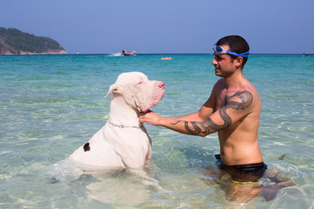 PHANGAN - JANUARY 07 : Unknown Man with the Great Dane at the sea on January 07, 2014 in Koh Phangan, Thailand .Thailand is a magnet for travellers and their pets the world over.のeditorial素材