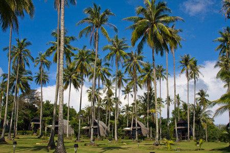 Tropical beach house , Thailandの写真素材