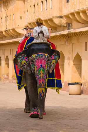 JAIPUR, INDIA - NOVEMBER 10, 2012: Decorated elephant on the road at Amber Fort in Jaipur, Rajasthan, India.のeditorial素材