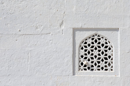 Detail of a wall of a temple in Pushkar, Rajasthan, Indiaのeditorial素材