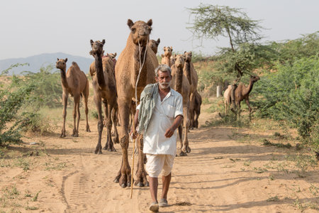 PUSHKAR, INDIA - OCTOBER 26, 2014: Unidentified Indian man attended the annual Pushkar Camel Mela. This fair is the largest camel trading fair in the world.のeditorial素材