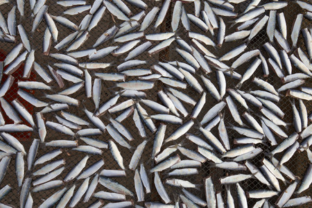 Sun dried salted fish before cooking sell in the market in Thailandの写真素材