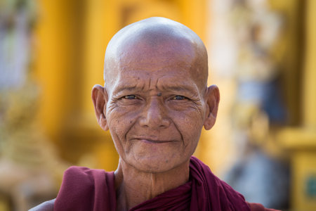 YANGON, MYANMAR - FEBRUARY 01, 2016: Unidentified portrait monk visit the Shwedagon Pagoda. Shwedagon Pagoda is the most sacred Buddhist pagoda for the Burmeseのeditorial素材