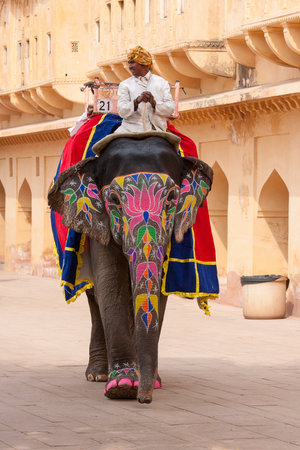 JAIPUR, INDIA - NOVEMBER 10, 2012: Decorated elephant and elephant driver on the road at Amber Fort in Jaipur, Rajasthan, Indiaのeditorial素材