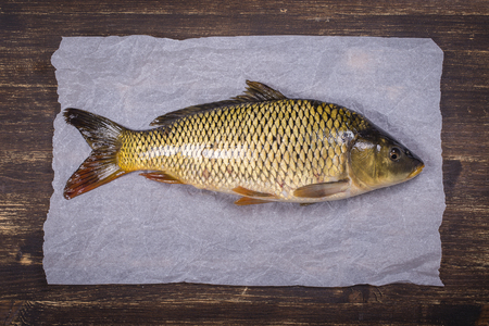 Common carp fish on wooden background, close up, top viewの写真素材