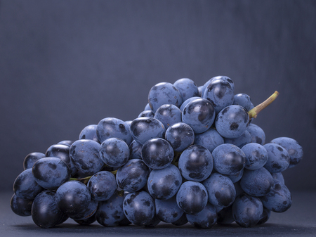 Single branch blue grapes on black slate stone background , close upの写真素材