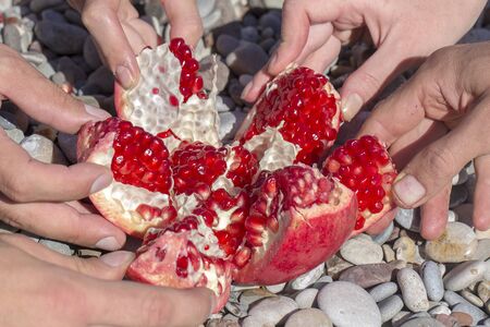 Many hands of people taking red pomegranate slices, eating and people concept, close up. Fresh, red garnet for eat on the beach in Turkeyの写真素材