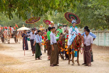BAGAN, MYANMAR - JANUARY 21, 2016: Decorated horse, buffalo and local people who participated in the donation channeled ceremony Shinbyu, marking the samanera ordination of a boy under the age of 20のeditorial素材