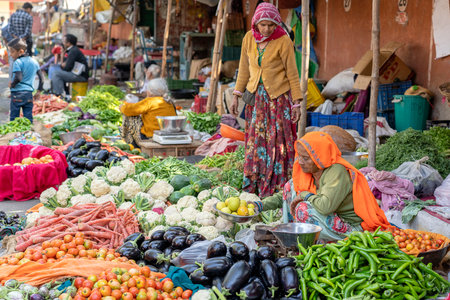 JAIPUR, INDIA - NOVEMBER 25, 2018: Jaipur, Rajasthan, Indiaのeditorial素材