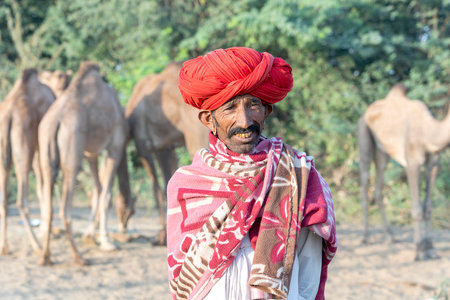 PUSHKAR, INDIA - NOVEMBER 14, 2018 : Indian men and herd camels in desert Thar during Pushkar Camel...