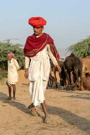 PUSHKAR, INDIA - NOVEMBER 14, 2018 : Indian men and herd camels in desert Thar during Pushkar Camel Mela near holy city Pushkar, Rajasthan, India. This fair is largest camel trading fair in the worldのeditorial素材