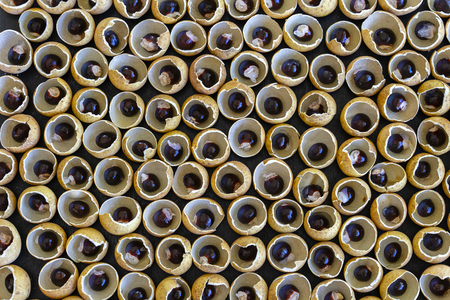 The shell and the bone from the Thai fruit longan. Longan peel shell and grain background. Exotic...