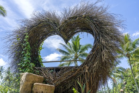 A bird nest recreation area in the shape of a heart near the rice terraces in island Bali, Indonesia . Nature and travel conceptの写真素材