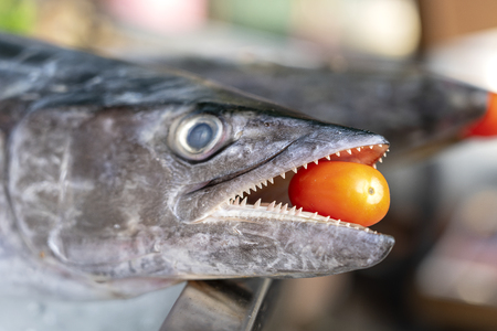 Close up on barracuda teeth with red tomato. Sea fresh fish barracuda at street food market in...