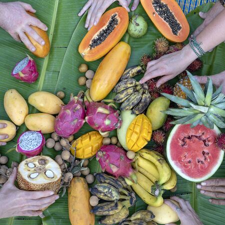 Tropical fruits on green banana leaves and people hands. Group of happy friends having nice food, enjoying the party and communication. Mango, papaya, pitahaya, banana, watermelon, pineapple and handsの写真素材