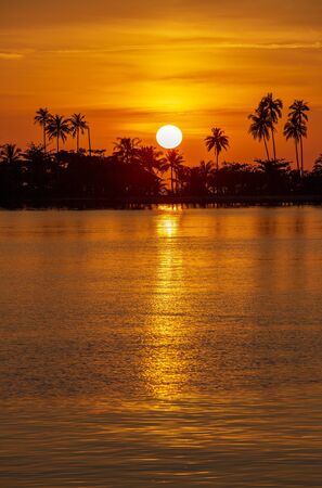 Silhouette of coconut palm trees during sunset next to the sea water on island in Thailand. Nature and travel concept. Sun, red sky, palm trees and sea waterの写真素材