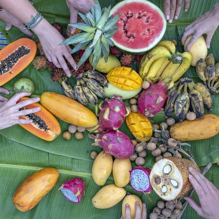 Tropical fruits on green banana leaves and people hands. Group of happy friends having nice food, enjoying the party and communication. Mango, papaya, pitahaya, banana, watermelon, pineapple and handsの写真素材