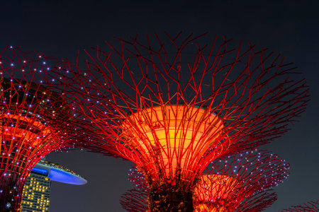 Singapore city, Singapore - march 29, 2019 : Super trees at Gardens by the marina bay, illuminated at night, Singapore, Southeast Asia. Garden by the Bay is a nature park in city centre of Singaporeのeditorial素材