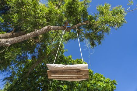 A swing on a rope hangs on a tropical tree on the beach of Zanzibar island, Tanzania, east Africa. Bottom view, close upの写真素材