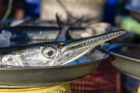 Sea fresh fish barracuda at food street market on island Koh Samui, Thailand, close up. Seafood concept. Raw barracuda for cookingの写真素材