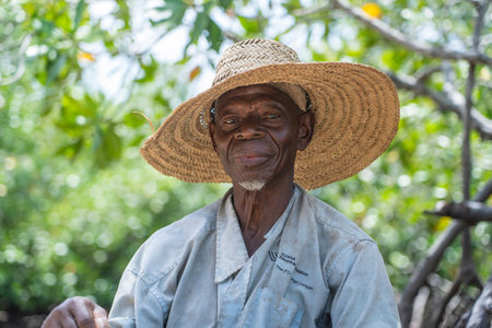 Zanzibar, Tanzania - november 16, 2019 : Unknown african old man working on the road of Zanzibar island, Tanzania, East Africa, close upのeditorial素材