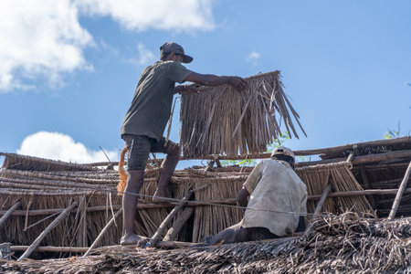 Zanzibar, Tanzania - november 27, 2019 : Unknown african men working on the straw roof of Zanzibar island, Tanzania, East Africa, close upのeditorial素材