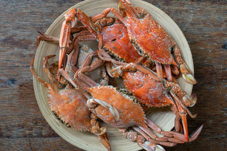 Boiled crabs on plate in beach cafe on the island of Zanzibar, Tanzania, east Africa, close up, top viewの写真素材